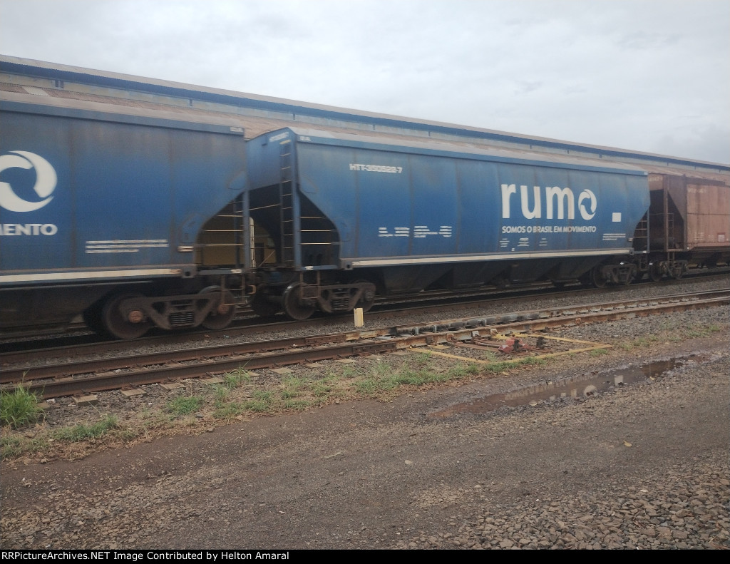 RUMO HTT-350522-7